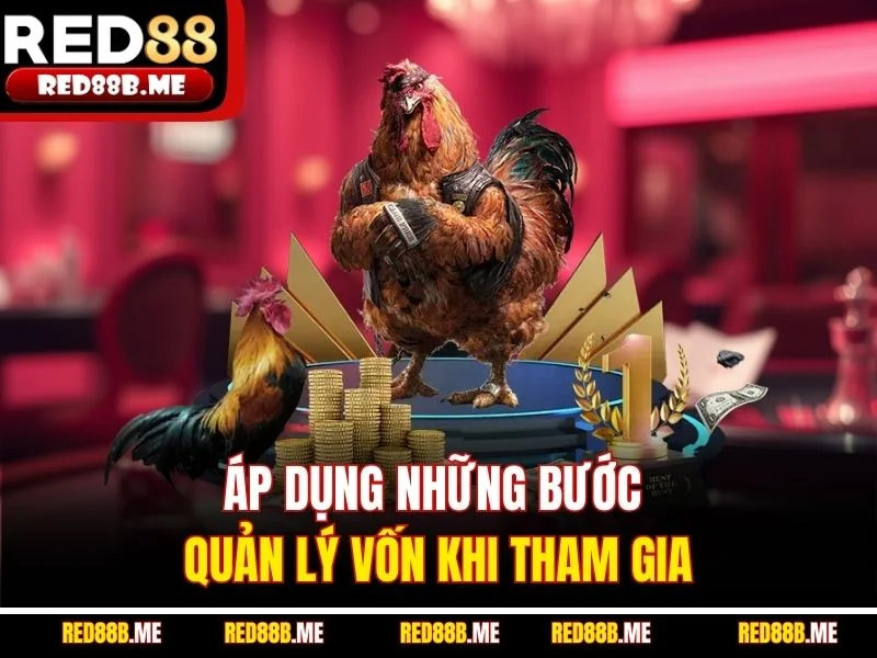 Áp dụng những bước quản lý vốn khi tham gia