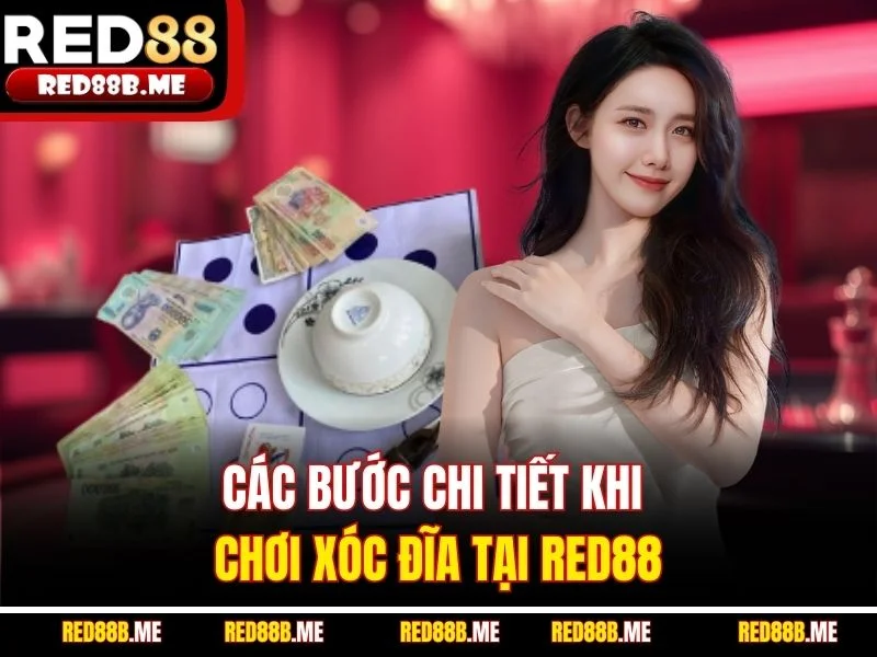 Các bước chi tiết khi chơi xóc đĩa tại RED88