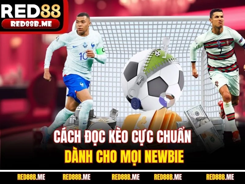 Cách đọc kèo cực chuẩn dành cho mọi newbie