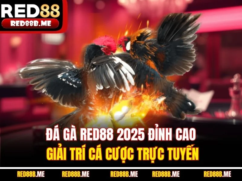 Đá Gà RED88 2025 Đỉnh Cao Giải Trí Cá Cược Trực Tuyến