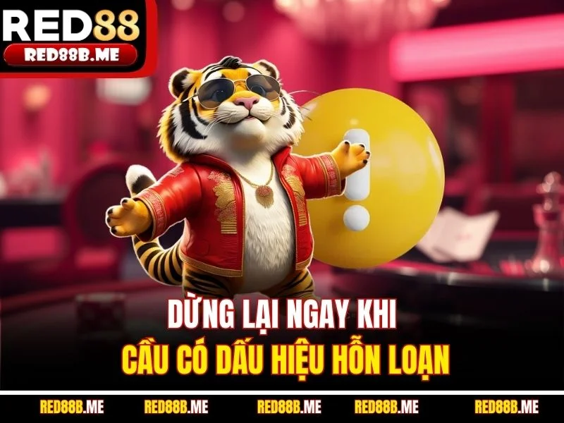 Dừng lại ngay khi cầu có dấu hiệu hỗn loạn