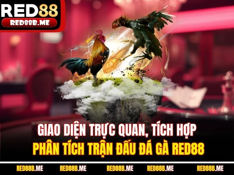Giao diện trực quan, tích hợp phân tích trận đấu đá gà RED88