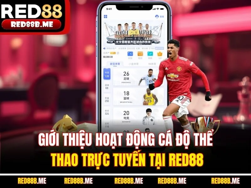 Giới thiệu hoạt động cá độ thể thao trực tuyến tại RED88