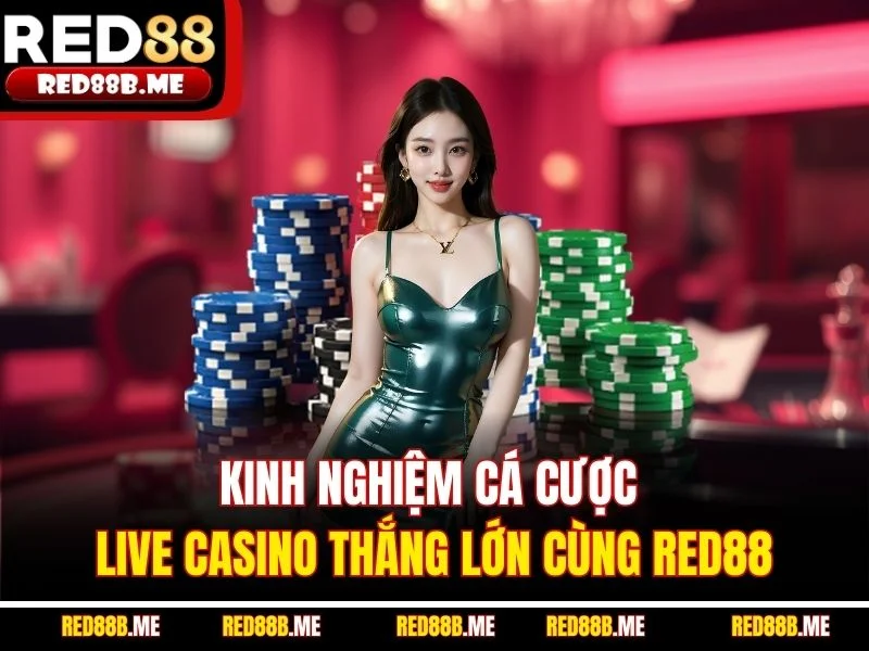 Kinh nghiệm cá cược Live Casino thắng lớn cùng RED88