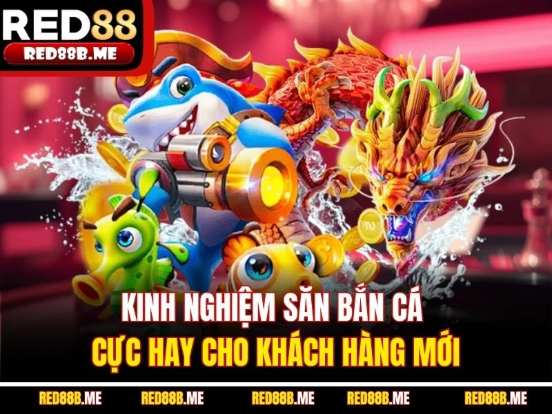 Kinh nghiệm săn bắn cá cực hay cho khách hàng mới