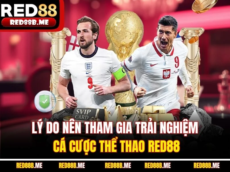 Lý do nên tham gia trải nghiệm cá cược thể thao RED88