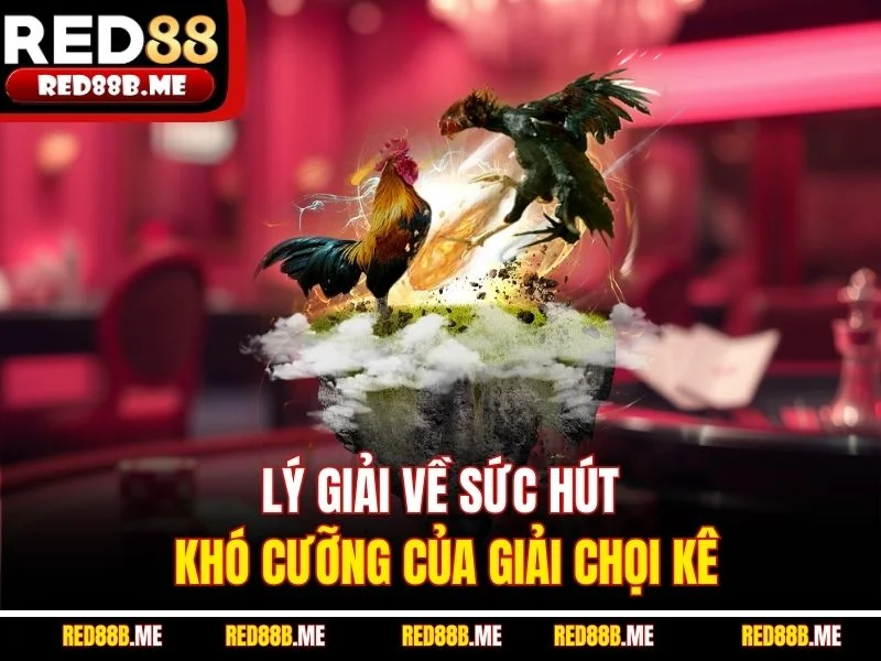 Lý giải về sức hút khó cưỡng của giải chọi kê