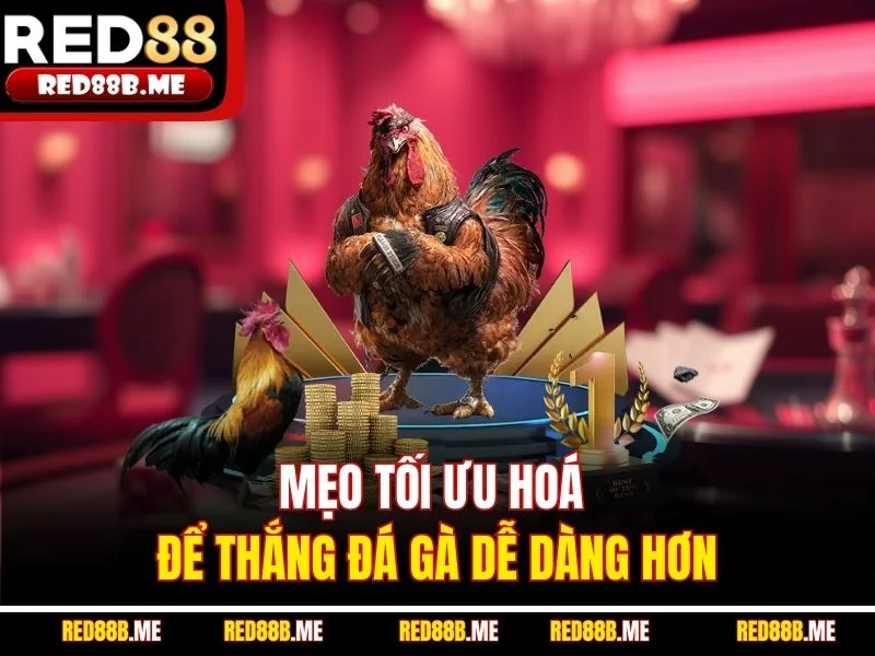 Mẹo tối ưu hoá để thắng đá gà dễ dàng hơn