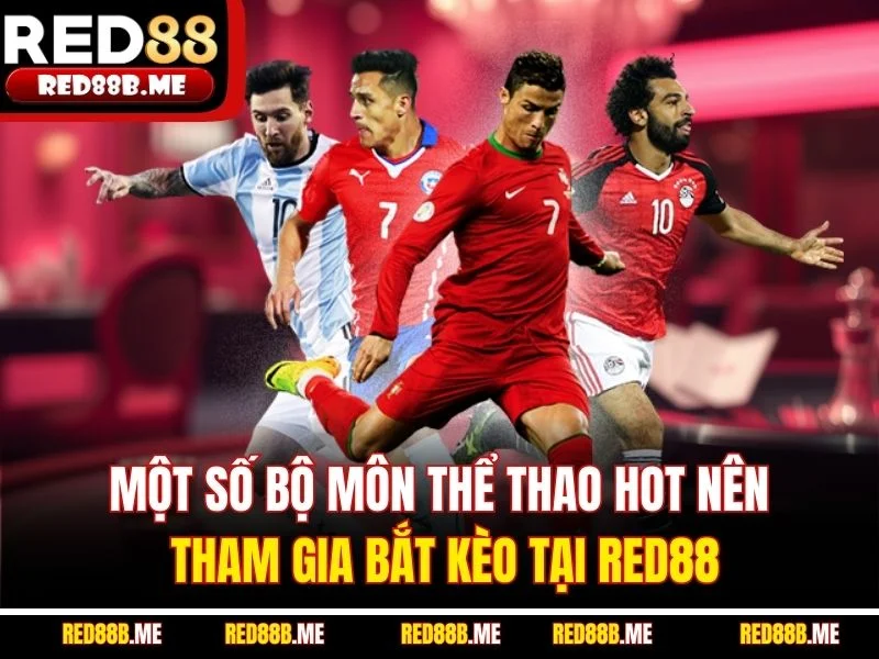 Một số bộ môn thể thao hot nên tham gia bắt kèo tại RED88
