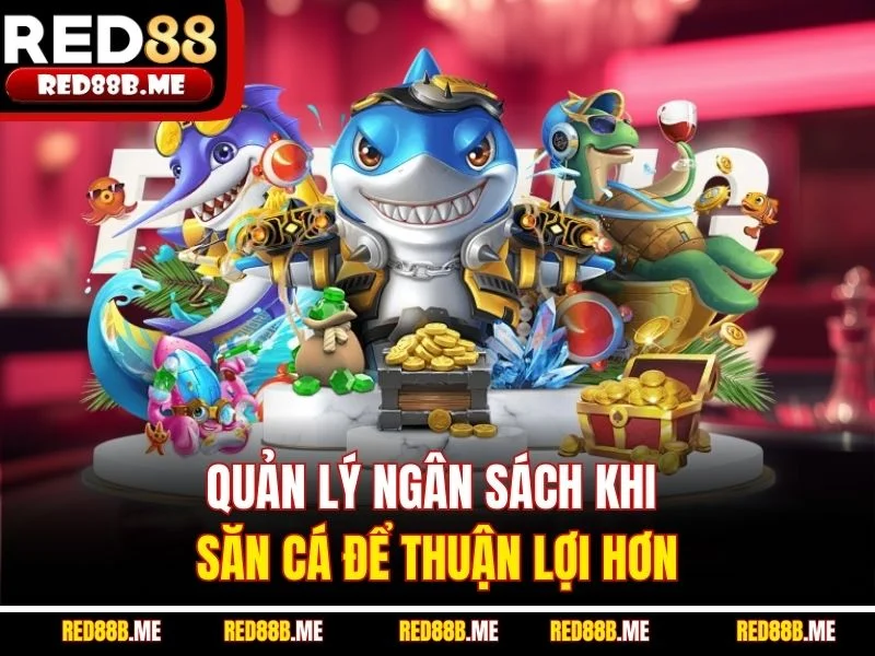 Quản lý ngân sách khi săn cá để thuận lợi hơn