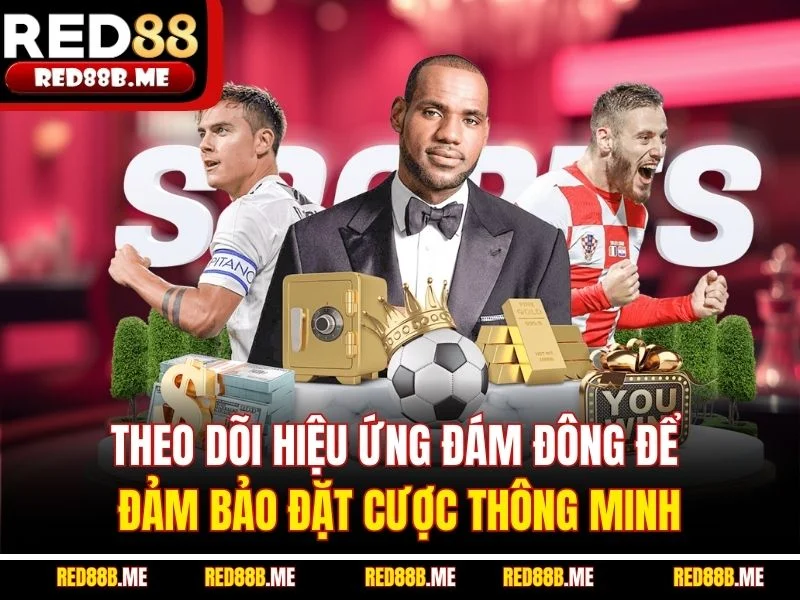 Theo dõi hiệu ứng đám đông để đảm bảo đặt cược thông minh