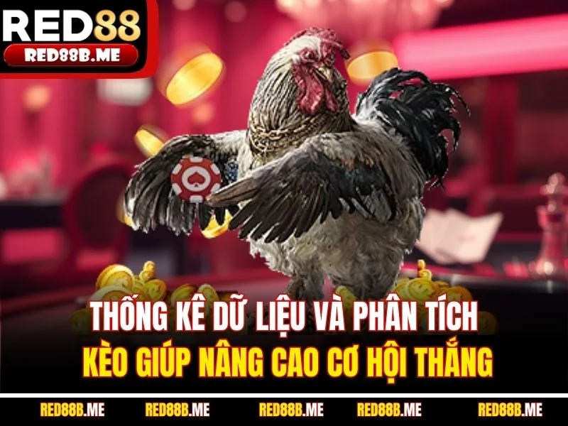 Thống kê dữ liệu và phân tích kèo giúp nâng cao cơ hội thắng
